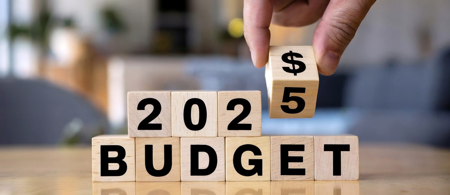 Proposed 2025 budgets