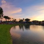 Reflecting on 2024 and looking ahead