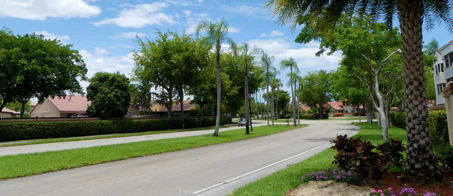Sidewalk repair project