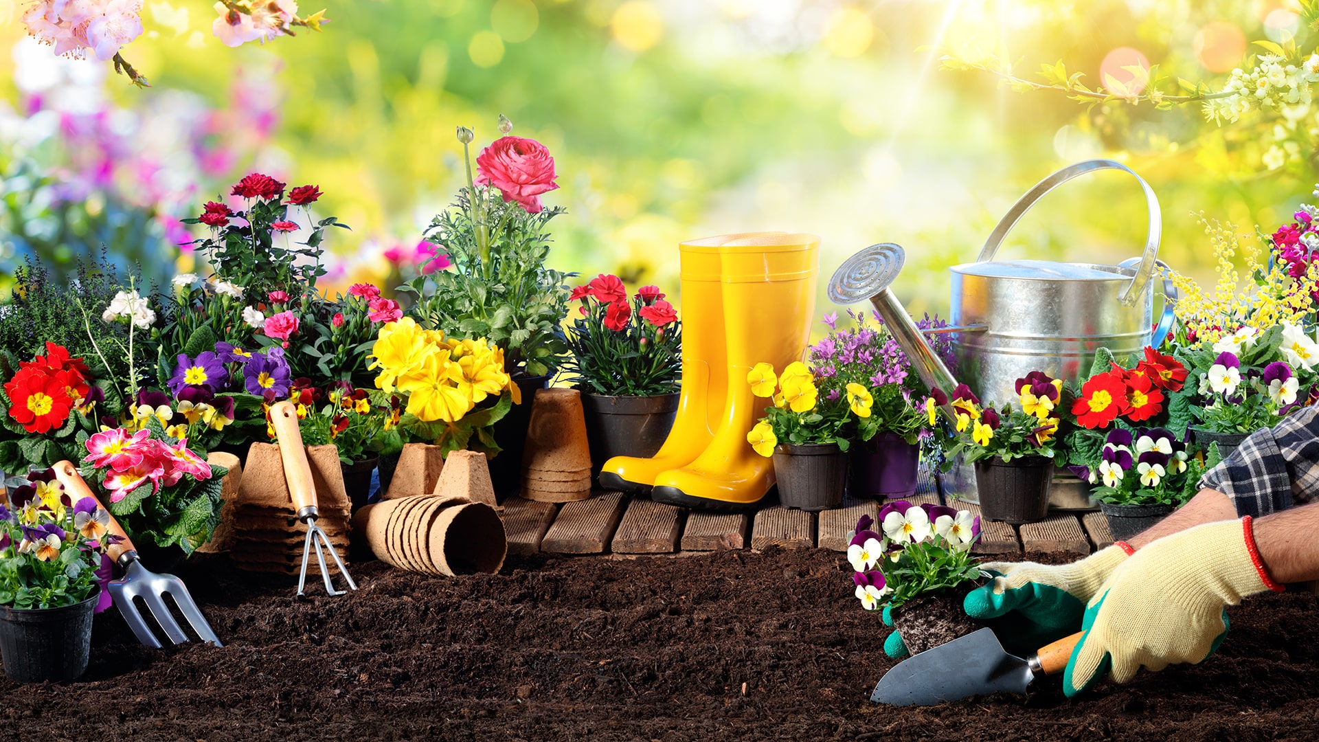 Spring Plpanting The joy of Spring: Blooms, bees, and being