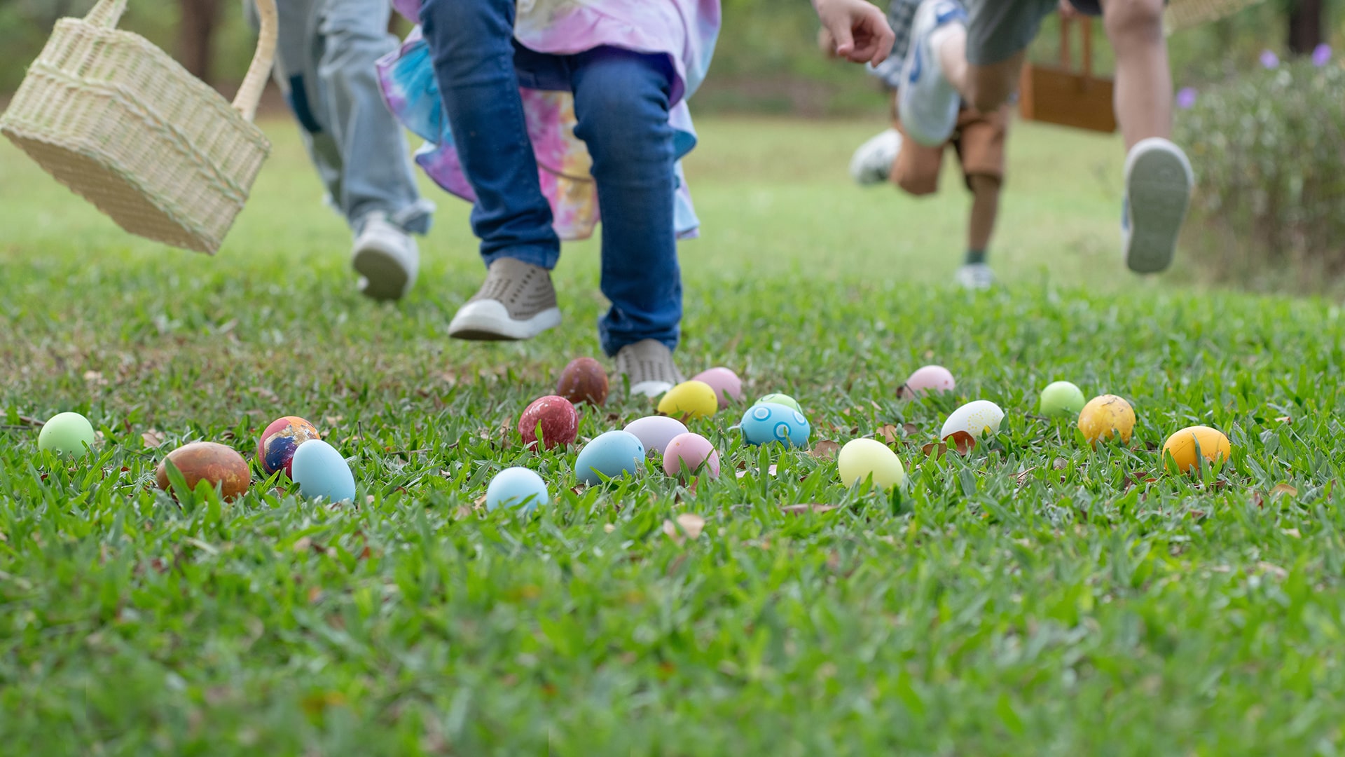 Easter Egg Hunt & Food Truck event 8 The Moors 2024 Easter Egg Hunt & Food Truck event