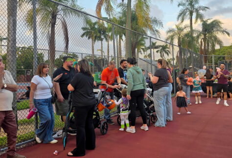 Families enjoying the event