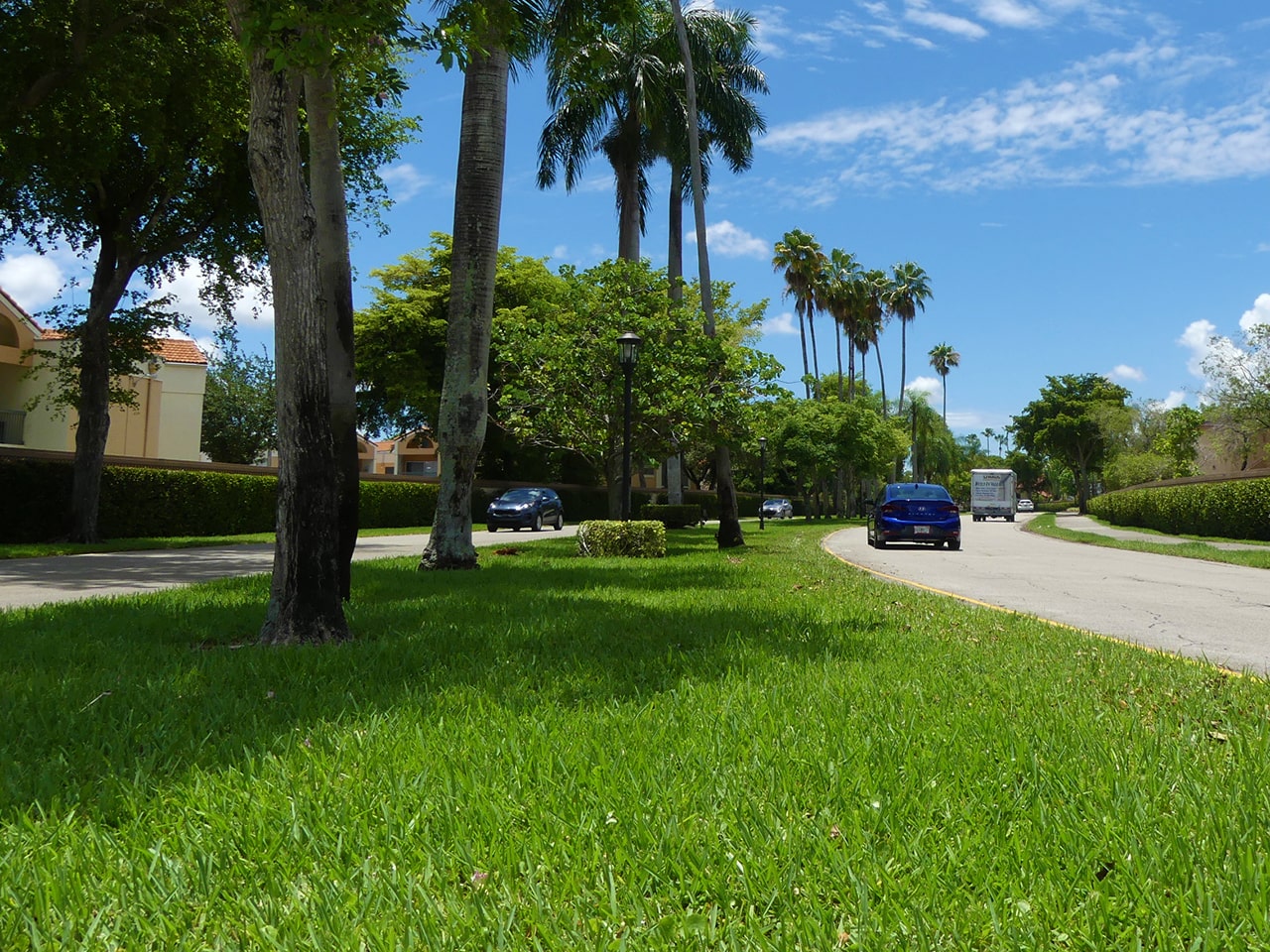 Vehicle traffic on Mediterranean Blvd.