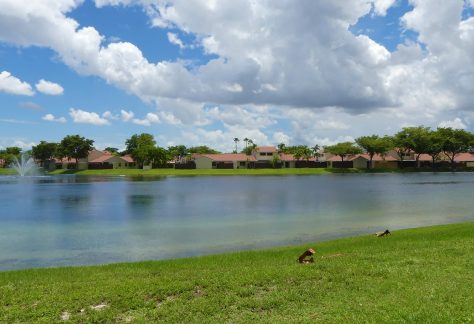 Village Homes association